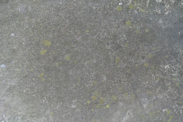 Cost of Slab Staining Service in West Chester